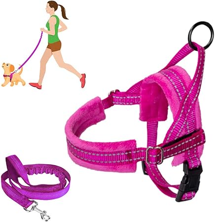 small dog harness and lead