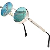 HJSTES Vintage Round Steampunk Sunglasses for Women Men Circle Gothic Glasses Retro Metal Frame