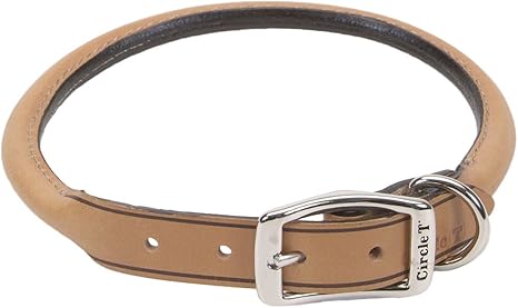 circle t rolled leather collar