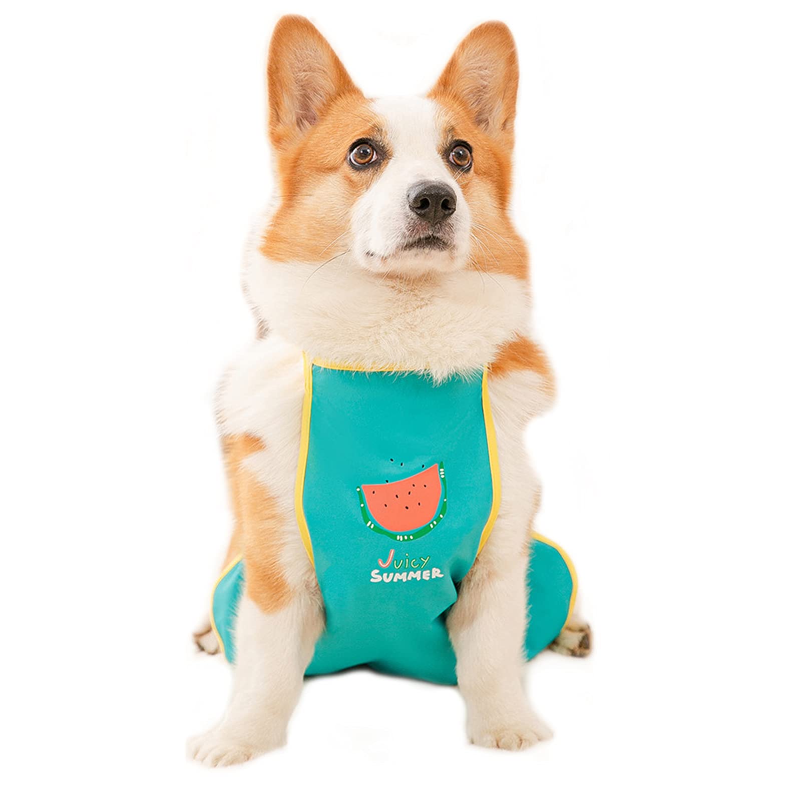 Dog Belly Vest Harness Waterproof Belly Apron Fruit Printed Short Leg Dog Costume for Puppy Small Medium Dogs (L:Green)