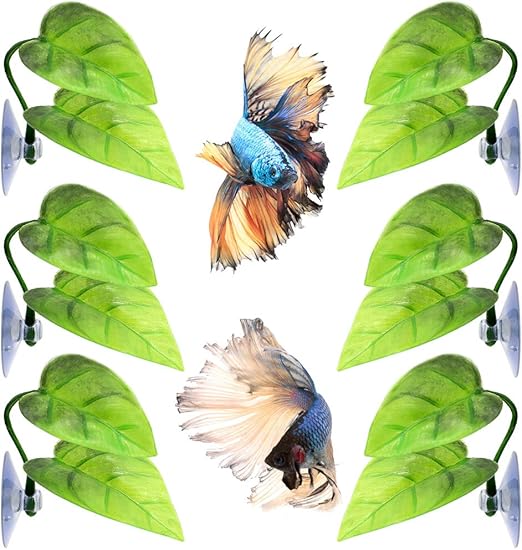 betta fish toys amazon