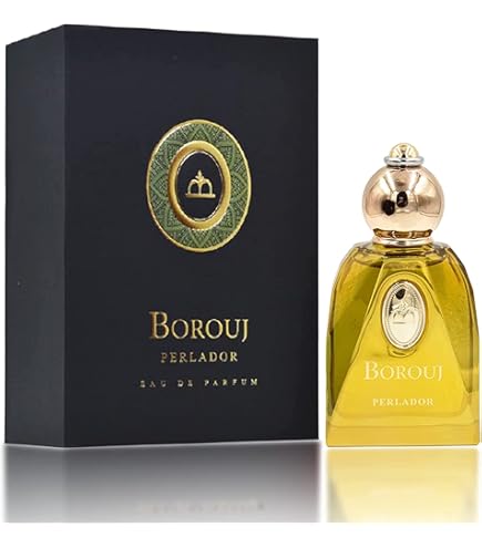 Amazon.com : Dumont BOROUJ GRAVITY - 85ml - Unisex Perfume for Men