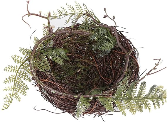 Woven Bird&rsquo;s Nest