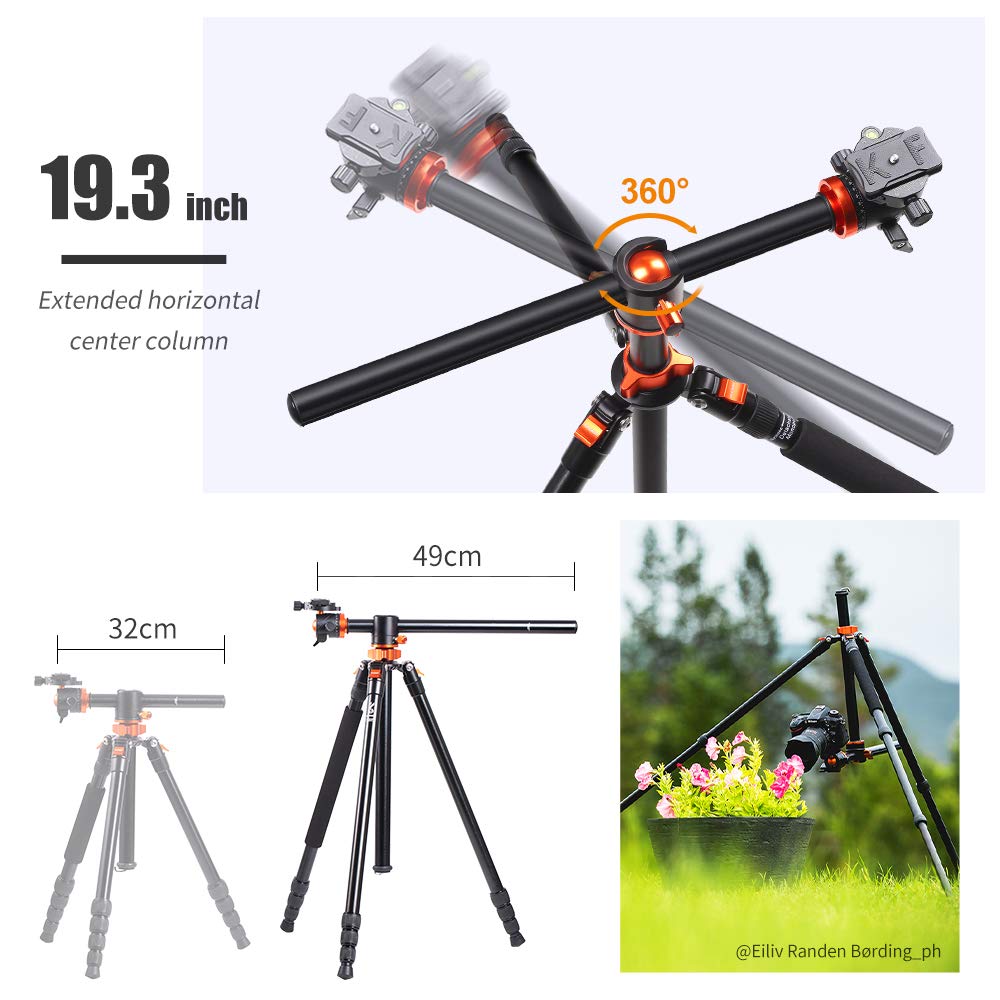 https://images-na.ssl-images-amazon.com/images/I/61Jhc0vEYNL.jpg
