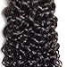 Beauty Forever Hair Brazilian Virgin Hair 1 piece Curly Hair Closure 100% Unprocessed Human Hair Lace Closure Natural Color