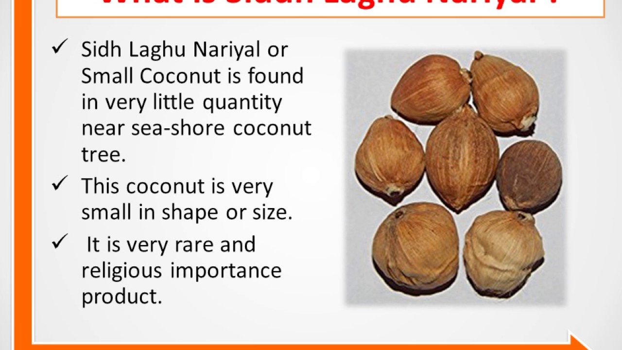 Buy Pmw® Laghu Coconut Sriphal Laghu Nariyal Set of 11 Pieces Online at Low Prices in