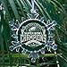 Philadelphia Eagles Super Bowl Champions Snowflake blinking lights Holiday Christmas Tree Ornament