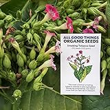 All Good Things Organic Seeds Smoking Tobacco Seeds (~350): Certified Organic, Farm Original Variety Non-GMO, Heirloom Seeds from the United States