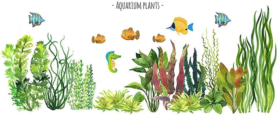 Aquatic Fish Seaweed Wall Sticker PVC Lovely Removeable Undersea Kid Wall Decals Baby Kid Room Nursery Kindergarten Wallpaper Wall Art Decor