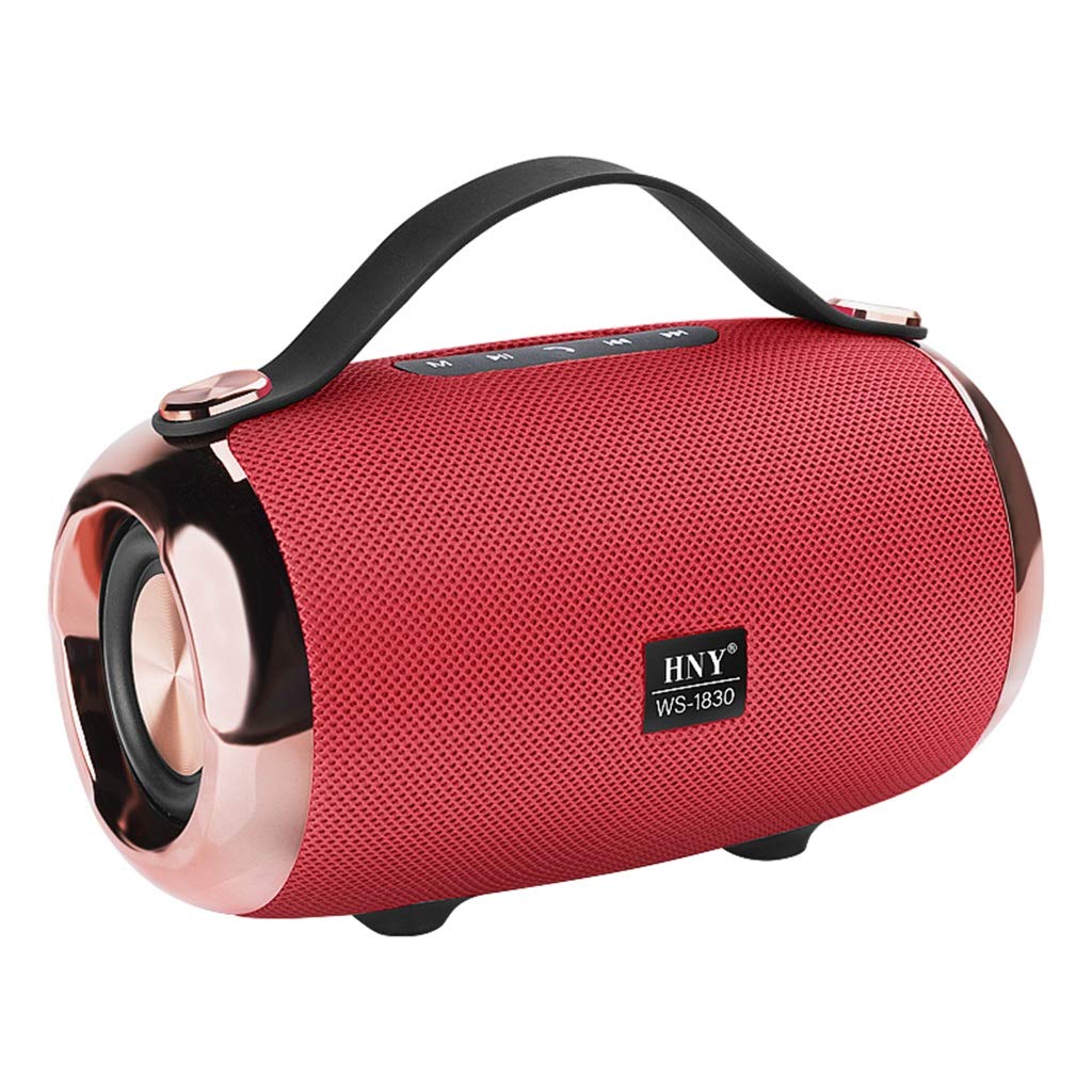 bluetooth speaker with multiple connections