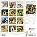 German Shepherds 2020 Calendar: Foil Stamped Cover