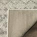 SAFAVIEH Adirondack Collection Accent Rug - 4' x 6', Ivory & Silver, Rustic Boho Design, Non-Shedding & Easy Care, Ideal for High Traffic Areas in Entryway, Living Room, Bedroom (ADR107B)