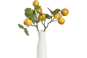 Hagao Artificial Fruit Branches Artificial Apple Highly Simulation Lifelike Model for Vase Home Party Decoration (2pcs Apple Branches)