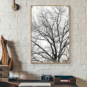 Framed Canvas Wall Art for Living Room, Bedroom Tree Illustration IV Canvas Prints for Home Decoration Ready to Hang - 16x24 inches