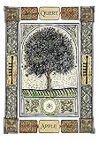 Image de The Celtic Tree Oracle: A System of Divination