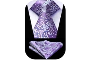 HISDERN Ties for Men Paisley Tie and Pocket Square Woven Classic Floral Mens Ties Handkerchief Set Wedding Party Necktie