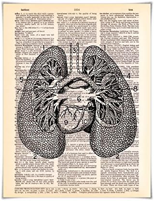 Lungs Anatomy - Printed on Vintage Dictionary Paper - 8x10.5 Human Anatomy Art Series
