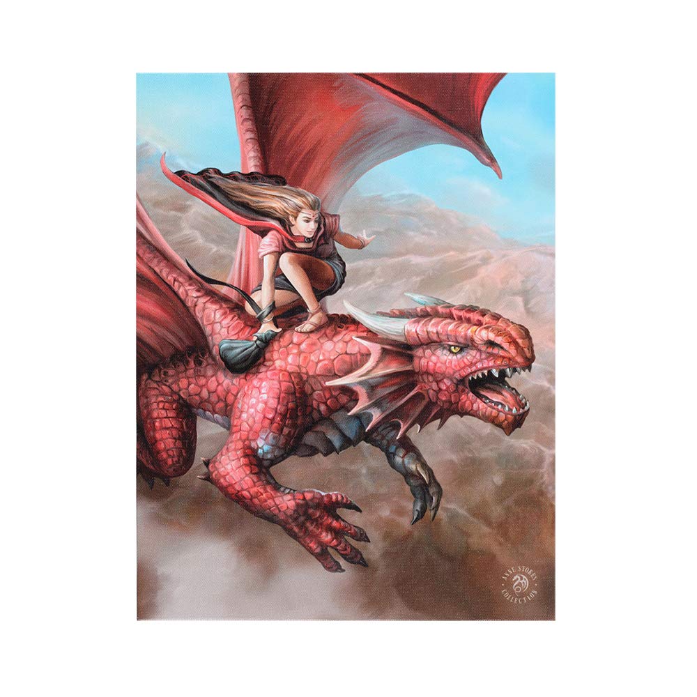 Beespoke Gifts 19x25cm Sky Surfer Canvas Plaque by Anne Stokes