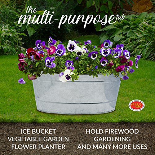 6 Achla+Designs+Large+Galvanized+Steel