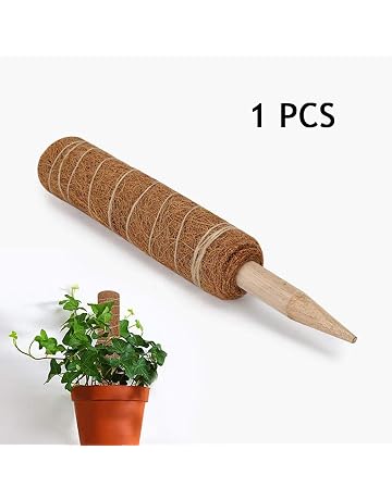 Amazon.es: Soportes para plantas: Jardín
