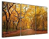 Gardenia Art - Romantic Old Gold Maple Canvas Prints Modern Wall Art Paintings Artwork for Room Decoration,16X24 inch, Framed (Kitchen)
