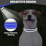 Joytale Reflective Small Dog Collar Navy Neoprene Padding Heavy Buckle view 4