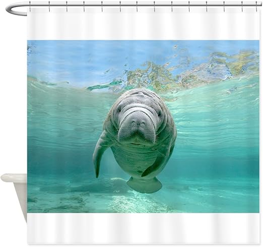 Amazon Com Cafepress Baby Manatee Decorative Fabric Shower