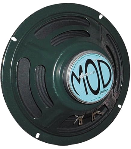 Amazon.com: Jensen Vintage P12R16 12-Inch Alnico Speaker, 16 ohm