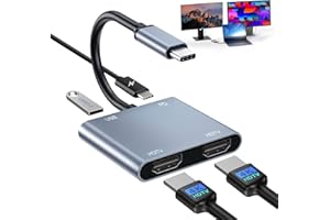 Denlane USB C to Dual HDMI Adapter 4K@60Hz, Type C HDMI Splitter for Dual Monitors with USB 3.0, 100W Fast Charging, USB Hub 