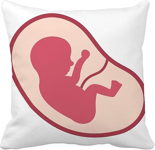 baby womb pillow