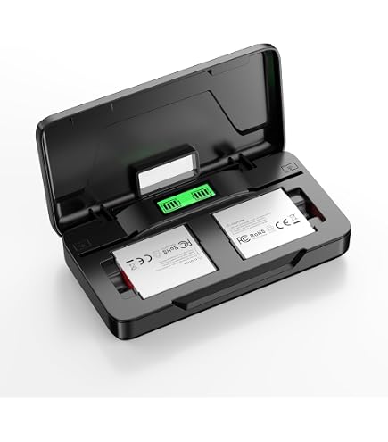 Amazon.com : Rechargeable Li-ion Battery (2-Pack) for Sony