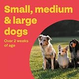 Bob Martin Clear 3-in-1 Wormer for Dogs (4 Tablets) Small to 40kg view 4