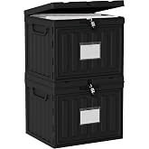 hueilm 2 Drawer File Cabinets,Plastic File Box for Letter Size Hanging File Folders, Easy Carry Small File Cabinet for Home, Office, School,Stackable Storage Filling Box, Black