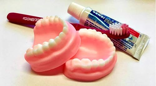 Amazon Com Denture Soap Set False Teeth Gag Gift Tooth Soap Prank Soap You Choose Scent Soap Dentures Funny Soap Over The Hill Silly Free Shipping Handmade