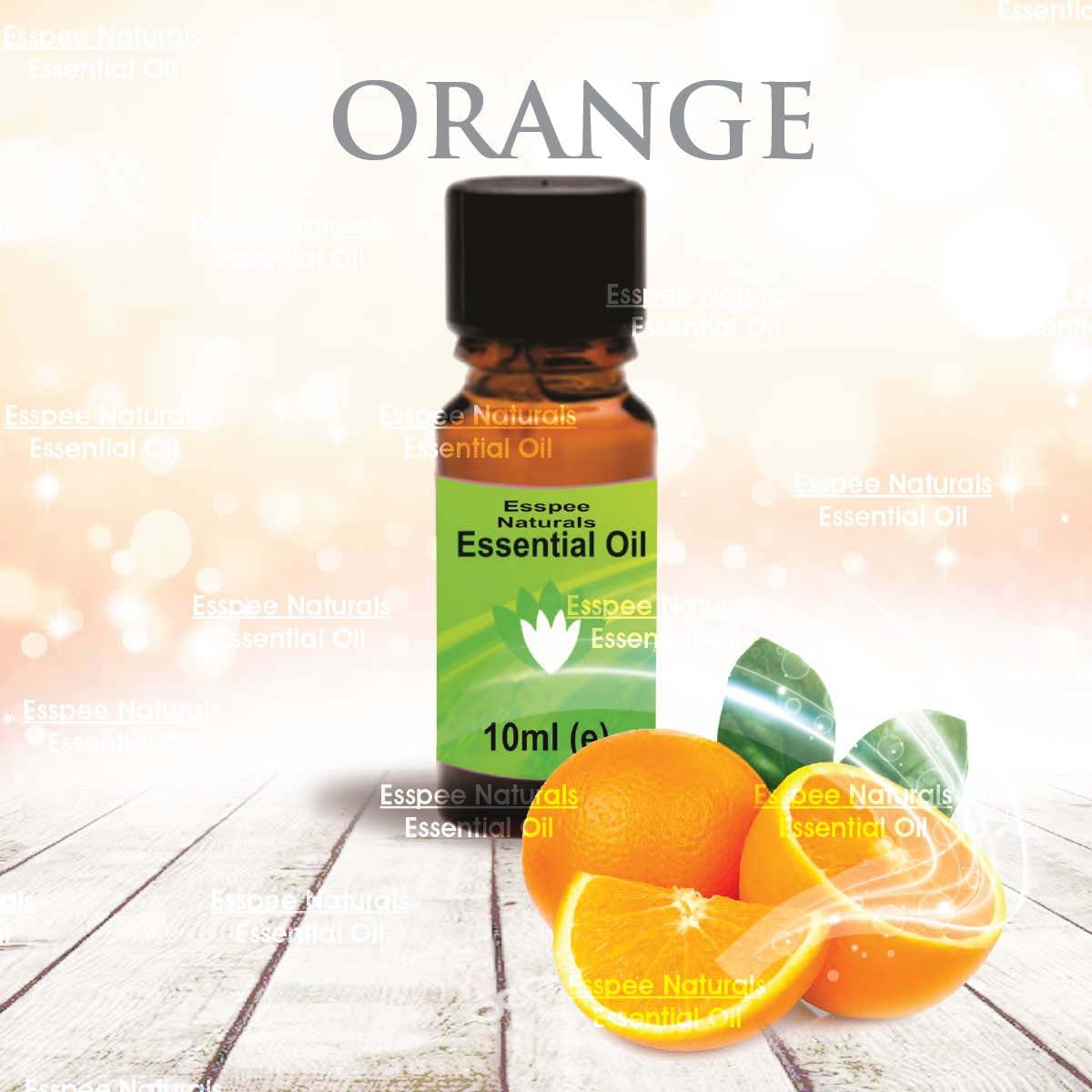 Essential Oils 10ml for Aromatherapy, Home Fragrance, Oil Burners (Orange, 10 ml)