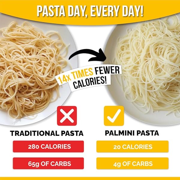PALMINI ANGEL HAIR PASTA | LOW-CARB, LOW-CALORIE HEARTS OF PALM PASTA | KETO, GLUTEN FREE, VEGAN, NON-GMO | AS SEEN ON SHARK TANK | (12 OUNCE POUCH-PACK OF 1)