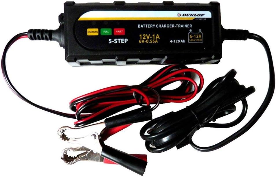 Amazon.fr Lifetime Cars Chargeur de batterie voiture et moto/ Mainteneur de charge portatif 6