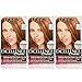 L'Oreal Paris Excellence Creme Hair Color, 7R Red Penny (Pack of 3)