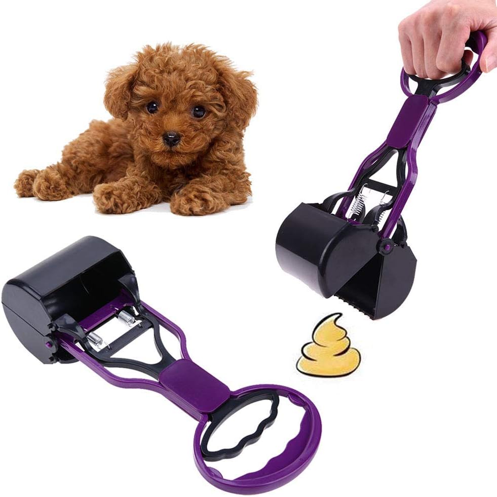 outdoor toys for large dogs