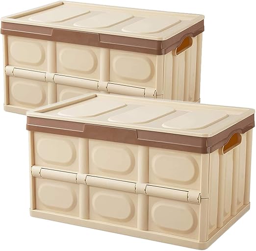 Livememory Cajas de Almacenamiento Plegables de Plástico, 2 Unidades
