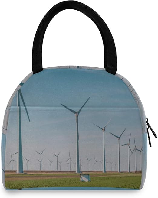 best lunch bags for adults