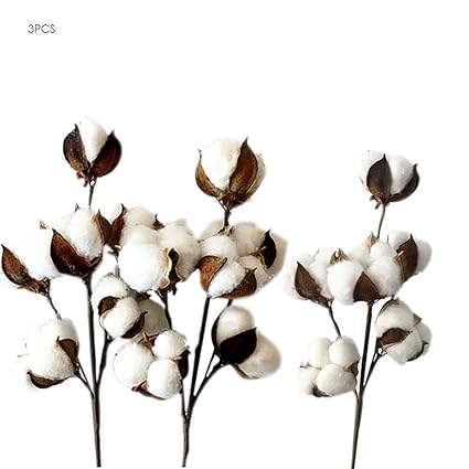 Navigatee Fleurs Séchées Naturelles Coton Fleur Vente En