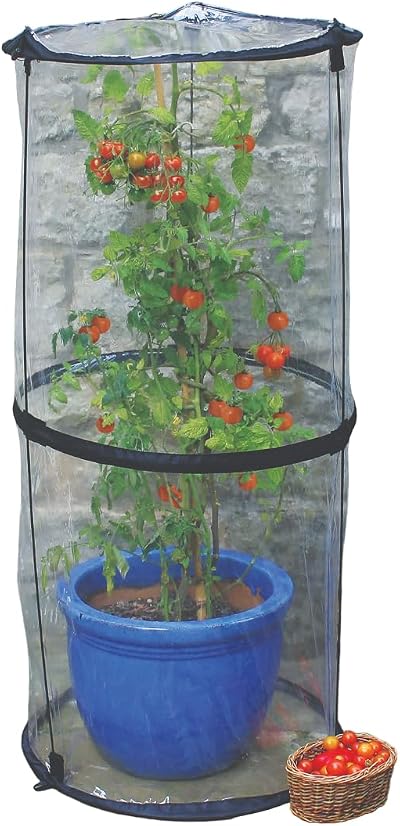 Tierra Garden Haxnicks Pop-Up Tomato Cloche 50 x 50 x 110 cm Transparent