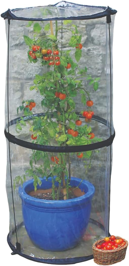Tierra Garden Haxnicks Pop-Up Tomato Cloche 50 x 50 x 110 cm Transparent