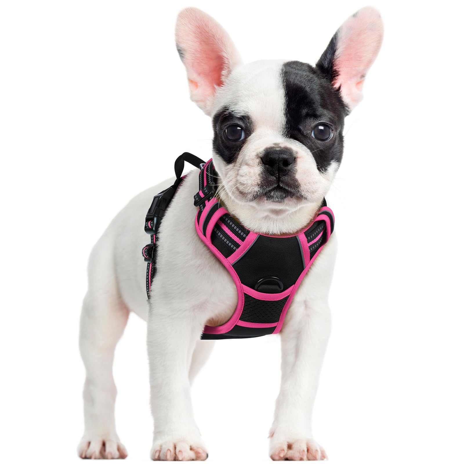Photo 1 of rabbitgoo Dog Harness No Pull with 2 Leash Clips, Adjustable Soft Padded, Reflective Oxford No Choke Pet Vest with Easy Control Handle for Large Dogs, Black & Hot Pink, S