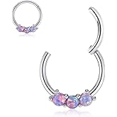 GAGABODY Septum Jewelry 16g Septum Ring 16 Gauge Earrings Daith Jewelry Surgical Steel Helix Piercing Jewelry Cartilage Earrings Hoop