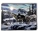BANBERRY DESIGNS Wildlife Home Decor - Set of 2 Light Up Wolf Prints - Stretched Canvas Artwork with Lights - Snowy Winter Scene with Wolves