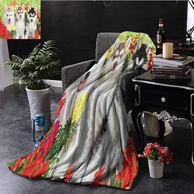 Siberian Puppy Dog Lover Beach Blanket Warm, Cozy Jamaica Ubuy