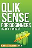 Qlik Sense for Beginners