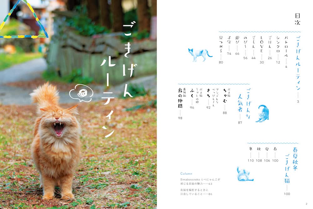 Amazon.co.jp 限定】日本の島のごきげんな猫(特典:ごきげんな島猫の 